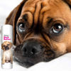 Picture of The Blissful Dog Puggle Unscented Nose Butter - Dog Nose Butter, 0.50 Ounce,UNSC-50OZ-PUGGLE