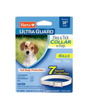 Picture of Hartz UltraGuard Flea & Tick Collar for Dogs and Puppies, 7 Month Flea and Tick Protection and Prevention Per Collar, White, Up to 20 Inch Neck