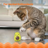 Picture of Catstages Lil' Avocato Dental Health Catnip Cat Chew Toy