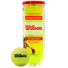 Picture of WILSON Championship Tennis Balls - Extra Duty, Single Can (3 Balls)