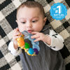 Picture of Baby Einstein Teether-pillar Rattle and Chill Teething Toy, Ages 3 months +