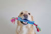 Picture of Petstages Orka Stick Alternative Dog Chew Toy