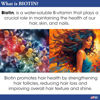 Picture of Difeel Premium Biotin Hair Oil 2.5 oz.