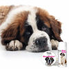 Picture of The Blissful Dog Saint Bernard Nose Butter - Dog Nose Butter, 0.15 Ounce