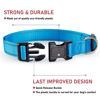 Picture of Reflective Dog Collar with Buckle Adjustable Safety Nylon Collars for Small Medium Large Dogs, Sky Blue XS