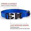 Picture of Reflective Dog Collar with Buckle Adjustable Safety Nylon Collars for Small Medium Large Dogs, Navy Blue XS