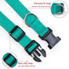 Picture of Reflective Dog Collar with Buckle Adjustable Safety Nylon Collars for Small Medium Large Dogs, Teal XXS