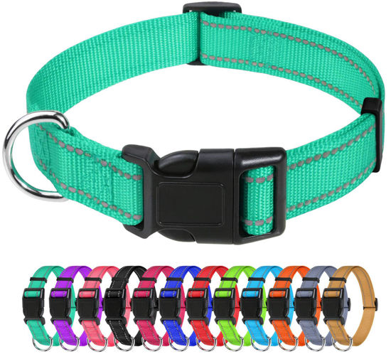 Picture of TagME Reflective Nylon Dog Collars, Adjustable Classic Dog Collar with Quick Release Buckle for Puppy, Turquoise, 3/8" Width