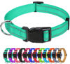 Picture of TagME Reflective Nylon Dog Collars, Adjustable Classic Dog Collar with Quick Release Buckle for Small Dogs, Turquoise, 5/8" Width