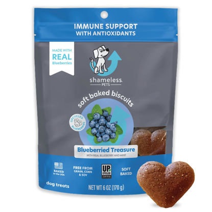 Picture of Shameless Pets Soft-Baked Dog Treats, Blueberried Treasure - Natural & Healthy Dog Chews with Mint for Immune Support - Dog Biscuits Baked & Made in USA, Free from Grain, Corn & Soy - 1-Pack