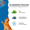 Picture of Shameless Pets Soft-Baked Dog Treats, Blueberried Treasure - Natural & Healthy Dog Chews with Mint for Immune Support - Dog Biscuits Baked & Made in USA, Free from Grain, Corn & Soy - 1-Pack