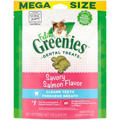 Picture of Greenies Feline Adult Natural Dental Care Cat Treats, Savory Salmon Flavor, 4.6 oz. Pouch