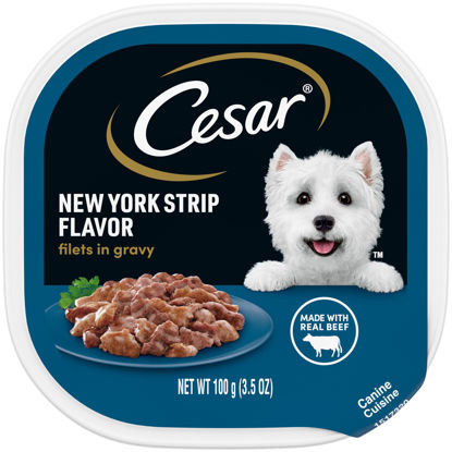 Picture of CESAR Adult Soft Wet Dog Food Filets in Gravy, New York Strip Flavor, 3.5 oz. Tray