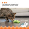 Picture of Catstages Crunchy Pickle Kicker Dental Catnip Cat Toy