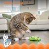 Picture of Catstages Crunchy Pickle Kicker Dental Catnip Cat Toy