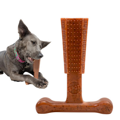 Picture of SPOT Bam-bones PLUS T Bone - Bamboo Fiber & Nylon, Durable Long Lasting Dog Chew for Aggressive Chewers - Great Toy for Adult Dogs & Teething Puppies under 60lbs, Non-Splintering, 6in, Beef Flavor