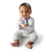 Picture of Baby Einstein Outstanding Opus The Octopus Sensory Rattle & Teether Multi-Use Toy, BPA Free & Chillable, 3 Months & up, Multicolored