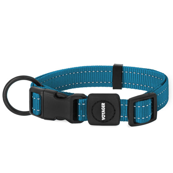 Picture of Best Pet Supplies Reflective Dog Collar with Adjustable Length, Heavy-Duty Buckle, and Strong Leash D-Ring, Training, Walking, Jogging Accessory for Small, Medium, and Large Breeds - Turquoise, M