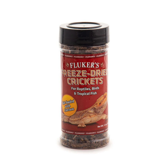 Picture of Fluker's Freeze Dried Crickets, Ideal for Reptiles, Birds, and Fish, Packed with Protein and Essential Nutrients, 1.2 oz