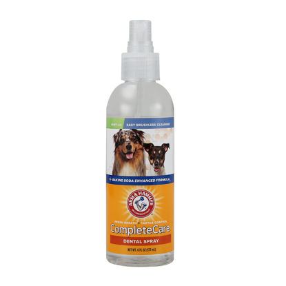 Picture of Arm & Hammer Complete Care Dog Dental Spray, 6 Fl Oz | Mint Flavor Dog Dental Spray for Easy Brushless Cleaning | Baking Soda Enhanced Formula for Fresh Breath and Tartar Control