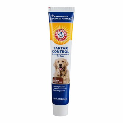 Picture of Arm & Hammer for Pets Tartar Control Enzymatic Toothpaste for Dogs | Reduces Plaque & Tartar Buildup | Safe for Puppies | Beef Flavor, 2.5 Ounces Dog Toothpaste