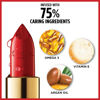 Picture of L'Oreal Paris Makeup Colour Riche Original Creamy Hydrating Satin Lipstick, 755 Spiced Cider, 1 Count