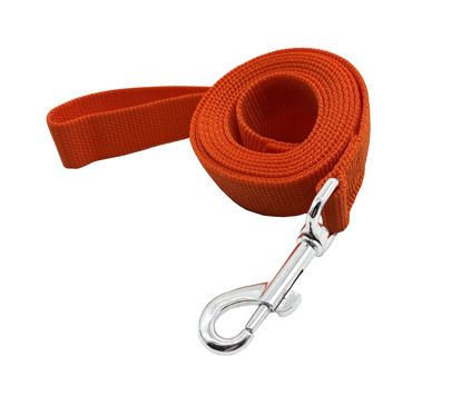 Picture of Strong Durable Nylon Dog Training Leash, Traction Rope, 4Ft /5 Foot /6 Feet Long, 5/8 inch 3/4 Inch 1 Inch Wide, for Small and Medium Dogs