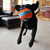 Picture of Chuckit Indoor Fetch Roller Dog Toy (7.5 Inch), Orange and Blue