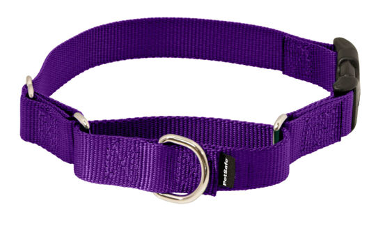 Picture of PetSafe Martingale Dog Collar with Quick-Snap Buckle - Petite, 3/8 Inch, Deep Purple