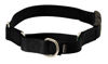 Picture of PetSafe Martingale Dog Collar with Quick-Snap Buckle - Petite, 3/8 Inch, Black