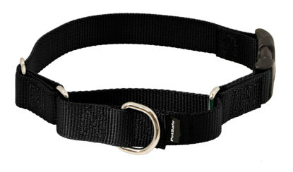 Picture of PetSafe Martingale Dog Collar with Quick-Snap Buckle - Petite, 3/8 Inch, Black