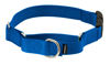 Picture of PetSafe Martingale Collar with Quick Snap Buckle, 3/8" Petite, Royal Blue