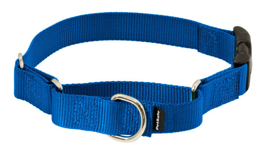 Picture of PetSafe Martingale Collar with Quick Snap Buckle, 3/8" Petite, Royal Blue