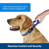 Picture of PetSafe Martingale Collar with Quick Snap Buckle, 3/8" Petite, Royal Blue