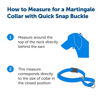 Picture of PetSafe Martingale Collar with Quick Snap Buckle, 3/8" Petite, Royal Blue