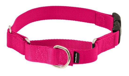 Picture of PetSafe Martingale Dog Collar with Quick-Snap Buckle - Petite, 3/8 Inch, Raspberry