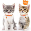 Picture of Taglory Kitten Collar Breakaway with Bell, 2 Pack Girl Boy Pet Kitten Collar Adjustable 6-8 Inch for 2-6 Months Cat, Orange