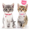 Picture of Taglory Kitten Collar Breakaway with Bell, 2 Pack Girl Boy Pet Kitten Collar Adjustable 6-8 Inch for 2-6 Months Cat, Pink