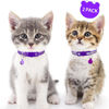 Picture of Taglory Kitten Collar Breakaway with Bell, 2 Pack Girl Boy Pet Kitten Collar Adjustable 6-8 Inch for 2-6 Months Cat, Purple