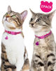 Picture of Taglory Reflective Cat Collar Breakaway with Bells, 2 Pack Girl Boy Pet Cat Collar Adjustable 7.5-12.5 Inch, Hotpink