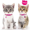 Picture of Taglory Kitten Collar Breakaway with Bell, 2 Pack Girl Boy Pet Kitten Collar Adjustable 6-8 Inch for 2-6 Months Cat, HotPink