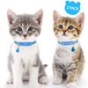 Picture of Taglory Kitten Collar Breakaway with Bell, 2 Pack Girl Boy Pet Kitten Collar Adjustable 6-8 Inch for 2-6 Months Cat, SkyBlue