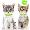 Picture of Taglory Kitten Collar Breakaway with Bell, 2 Pack Girl Boy Pet Kitten Collar Adjustable 6-8 Inch for 2-6 Months Cat, Green