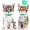 Picture of Taglory Kitten Collar Breakaway with Bell, 2 Pack Girl Boy Pet Kitten Collar Adjustable 6-8 Inch for 2-6 Months Cat, Turquoise