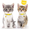 Picture of Taglory Kitten Collar Breakaway with Bell, 2 Pack Girl Boy Pet Kitten Collar Adjustable 6-8 Inch for 2-6 Months Cat, Yellow