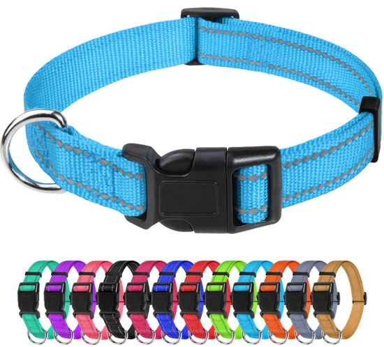 Picture of TagME Small Dog Collar, Adjustable Reflective Nylon Dog Collar with Quick Release Buckle, Sky Blue, 5/8" Width