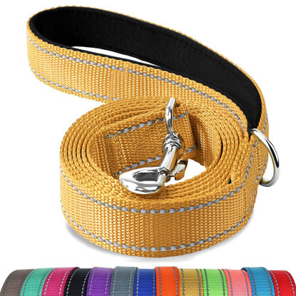 Picture of Joytale Double-Sided Reflective Dog Leash, 6 FT/5 FT/4 FT, Padded Handle Nylon Dogs Leashes for Small & Medium Dogs Walking, Khaki, 4FT