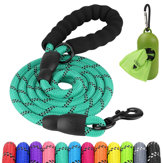 Picture of Joytale 6/5/4 FT Leashes for Small Medium Breed Dogs, Heavy Duty Nylon Braided Rope Dog Leash, Comfortable Padded Handle Strong Leashes with Poop Bags and Dispenser, Teal, 5'×3/8''