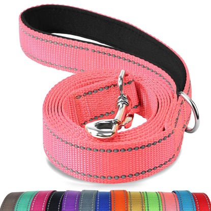 Picture of Joytale Double-Sided Reflective Dog Leash, 6 FT/5 FT/4 FT, Padded Handle Nylon Dogs Leashes for Small & Medium Dogs Walking, Pink, 4FT