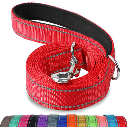 Picture of Joytale Double-Sided Reflective Dog Leash, 6 FT/5 FT/4 FT, Padded Handle Nylon Dogs Leashes for Small & Medium Dogs Walking, Red, 4FT